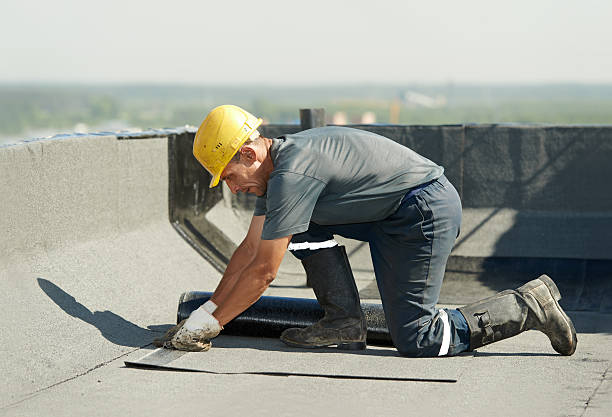 Best Commercial Insulation in Progreso, TX
