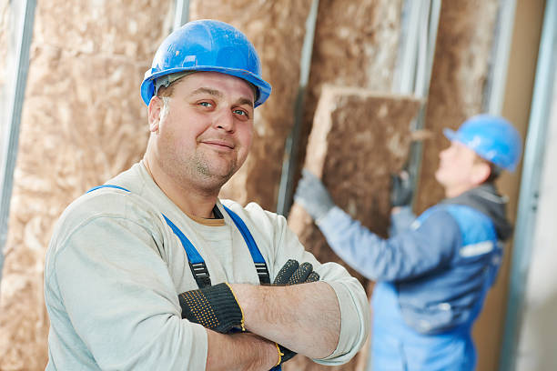 Best Residential Insulation in Progreso, TX