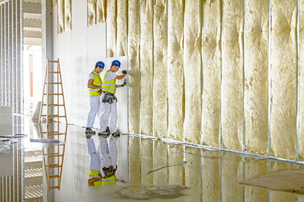 Best Geographic-Specific Insulation Services in Progreso, TX
